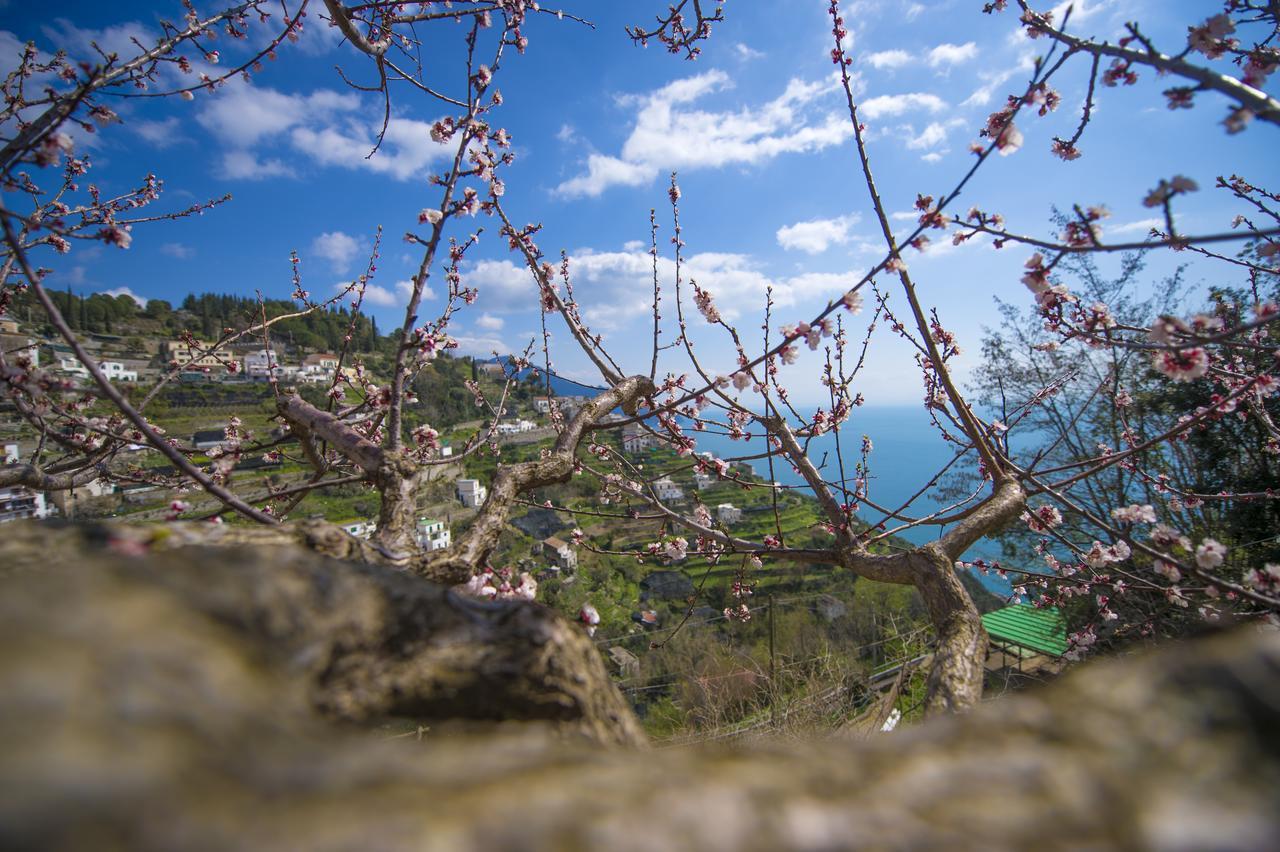 Casa Pina Apartment Amalfi Luaran gambar